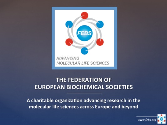 About FEBS slidedeck